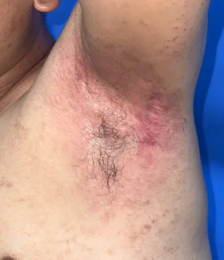 Đài PTTH Hà Nội